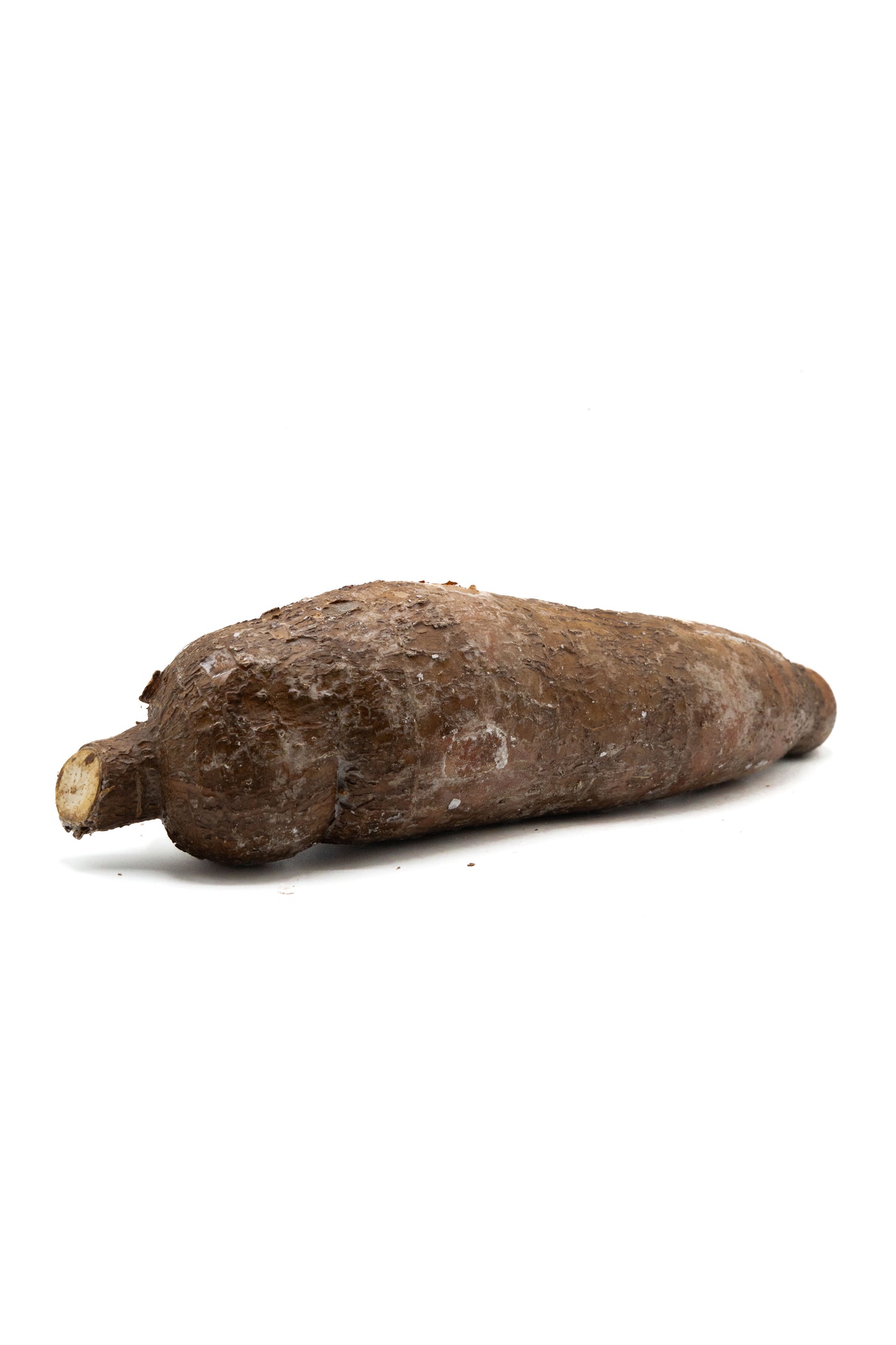 Frischer Maniok (Cassava) – Tropisches Wurzelgemüse für vielseitige Küche