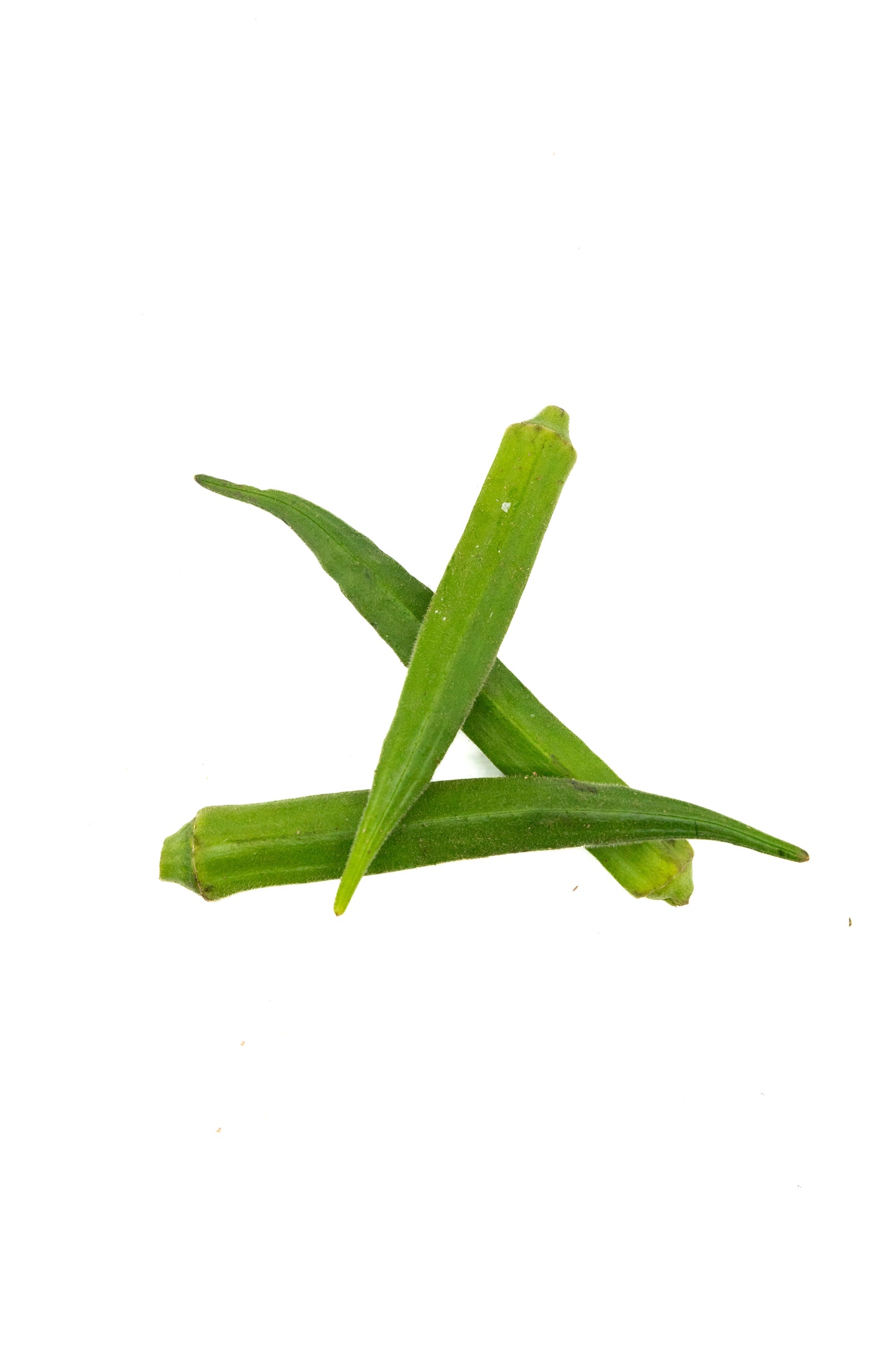 Okra – Frische Okraschoten für exotische Gerichte