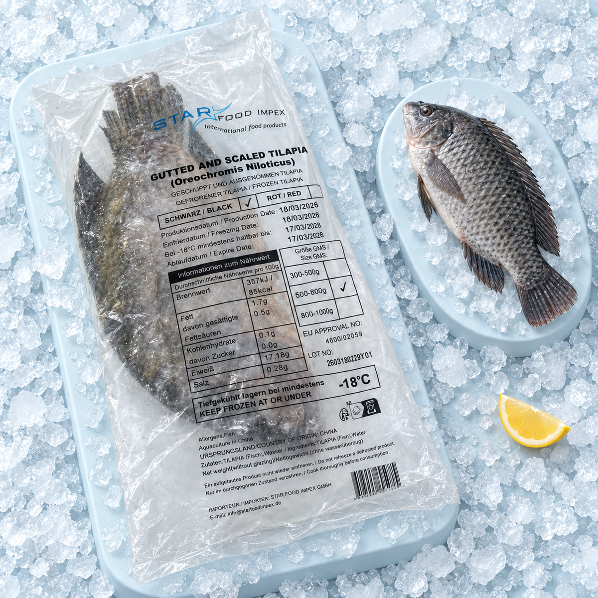 Schwarze Tilapia 500-800 g