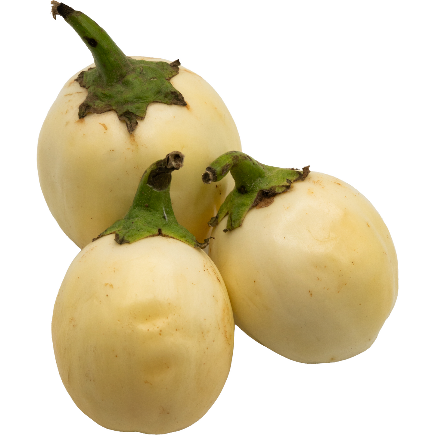 African Garden Eggs / White Garden Eggs (Solanum aethiopicum)