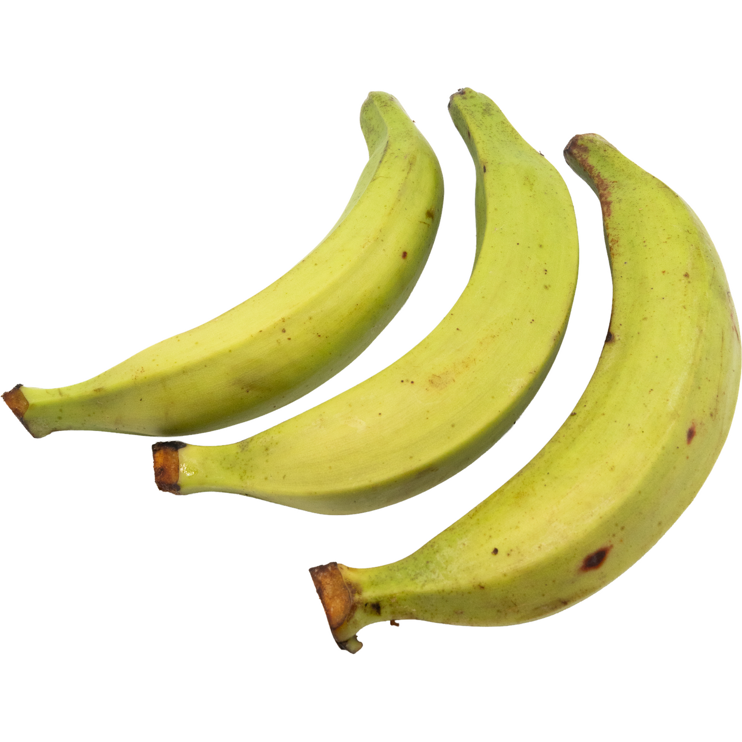 Green plantains – versatile tropical fruit for savory dishes