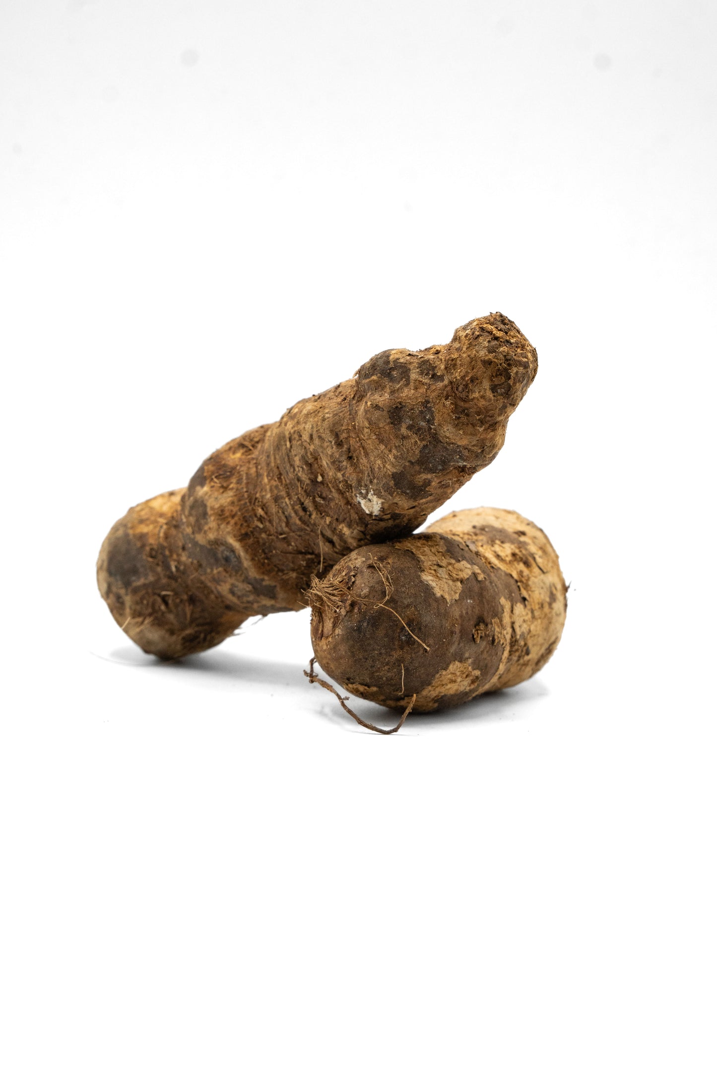 Frischer Cocoyam (Taro-Wurzel / Kokoyam)