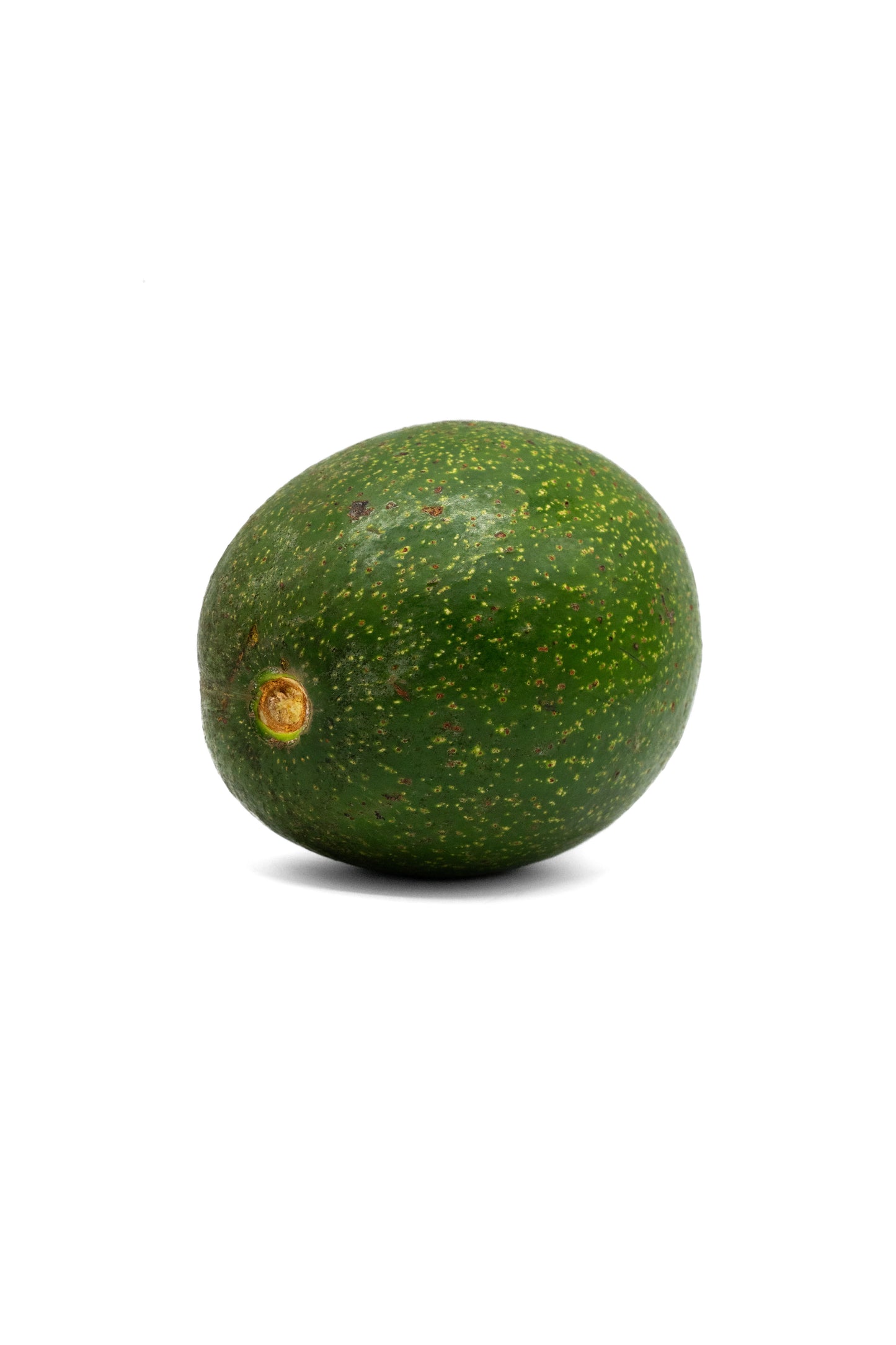 Frische Uganda Avocado – Große Tropen-Avocado, naturbelassen & aromatisch