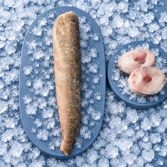 Hake Merluza –  Seehecht 400-600 g