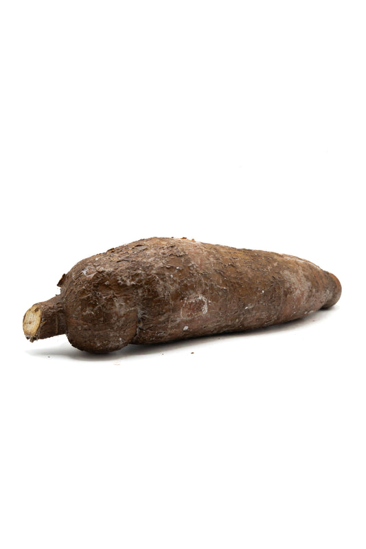 Frischer Maniok (Cassava) – Tropisches Wurzelgemüse für vielseitige Küche