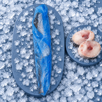 Hake Merluza –  Seehecht 400-600 g