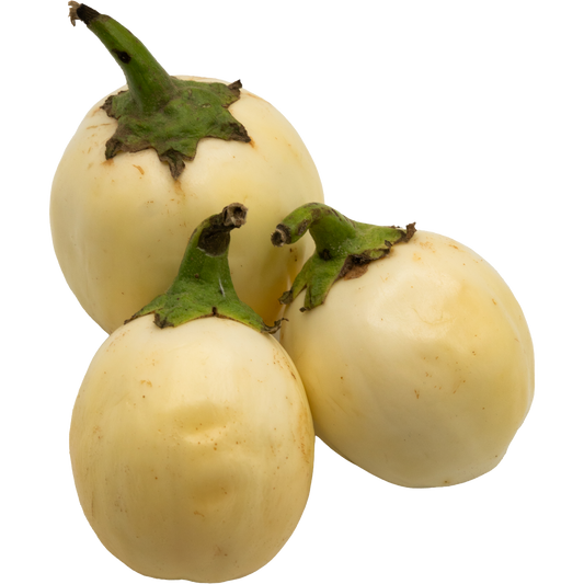 Afrikanische Garteneier / White Garden Eggs (Solanum aethiopicum)