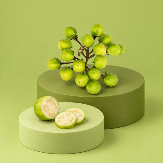 Konsusua  – Exotische Wild-Auberginen