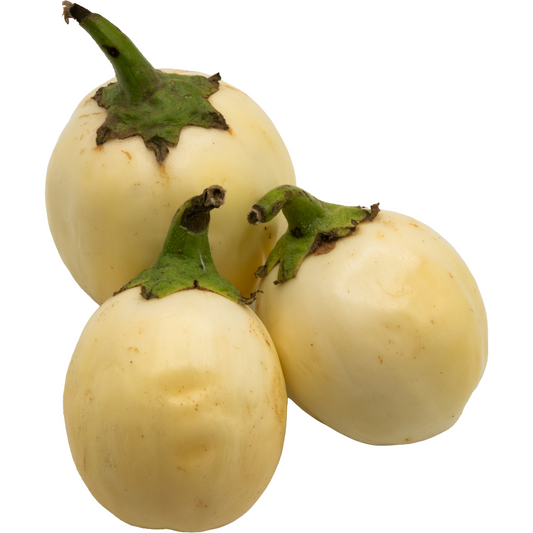Afrikanische Garteneier / White Garden Eggs (Solanum aethiopicum)