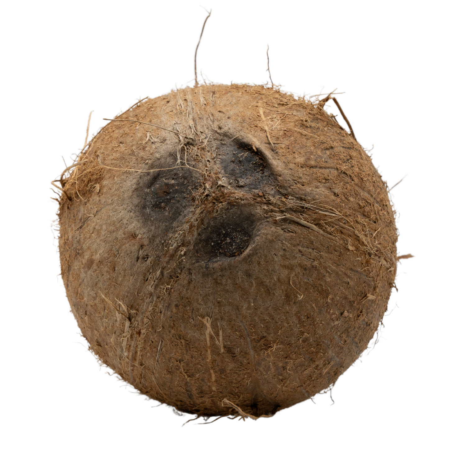 Coconut – Whole &amp; Natural