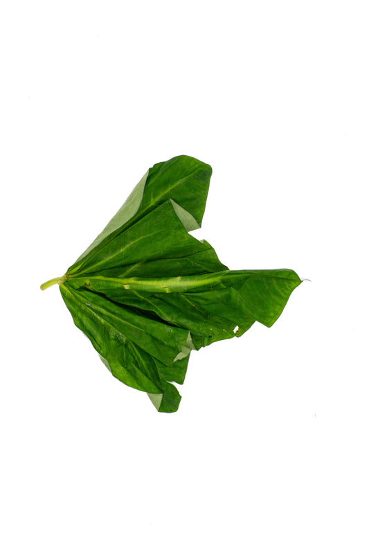 Frischer ghanaischer Blattspinat (Kontomire / Cocoyam Leaves) – je Bund