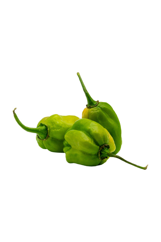 Frische grüne Habanero Chilis